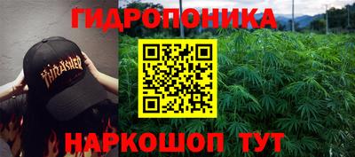 кокс Чапаевск
