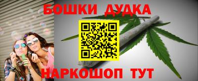 стафф Шелехов